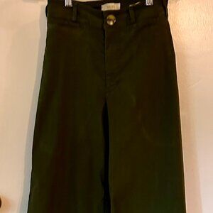 Anthropologie Maeve Colette pants sz 24